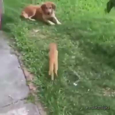 Oh fuck it's happening