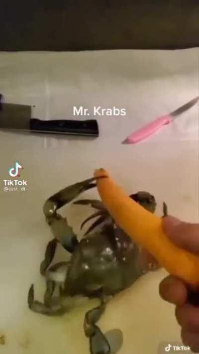 Mr Krabs
