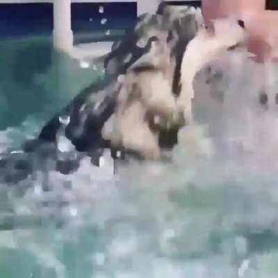 WCGW joining the fun with my favorite hooman?