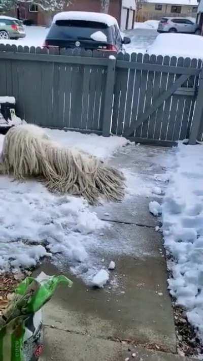 Banda, se me escapó el Trapeador :c