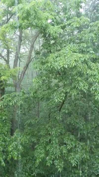 We definitely needed this rain.