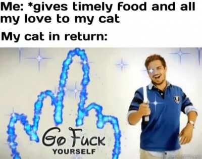 DISNEY'S ORIGINAL INTRO