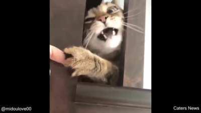 The moment he realises he is stuck