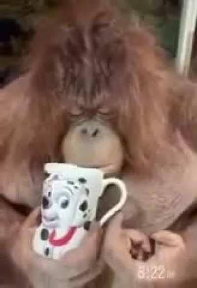 Первый рабочий день, после отпуска.