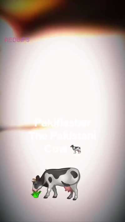 What rating deserve my hijabi ass