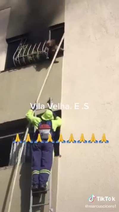 Dog jumps off of burning building in Brazil