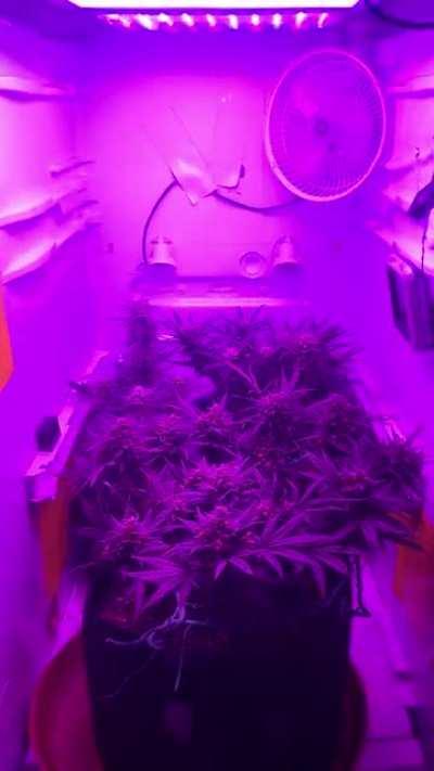 SpaceFridge checking in.