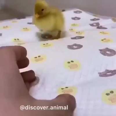 I feel peace in your hand.