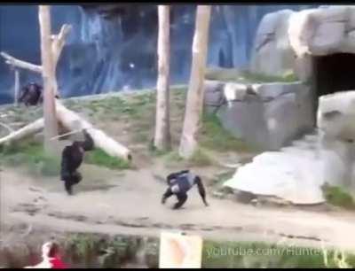 Monke is strong with the force