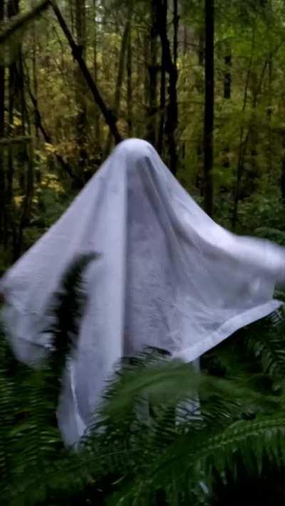 BOO-bies!👻 Tiny tits, but I'm a freak in the sheets!😜