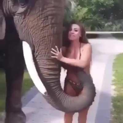 HMC while I greet Dumboob