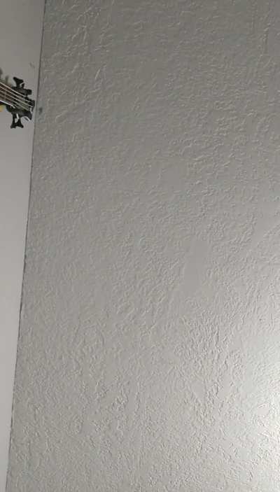 Is this lower fry reg or am I buggin?