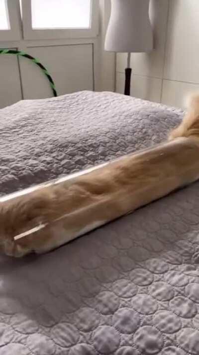 I found this on Pinterest