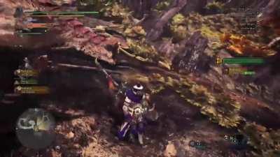 When you accidentally kill a rathalos instead of a rathian