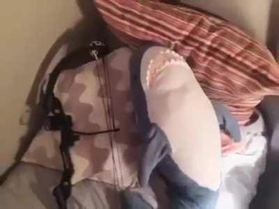 Fire edit feel free to screenshot 