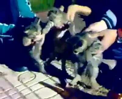 Lan bu ne ASDKLJKLJDSFADSFLŞA