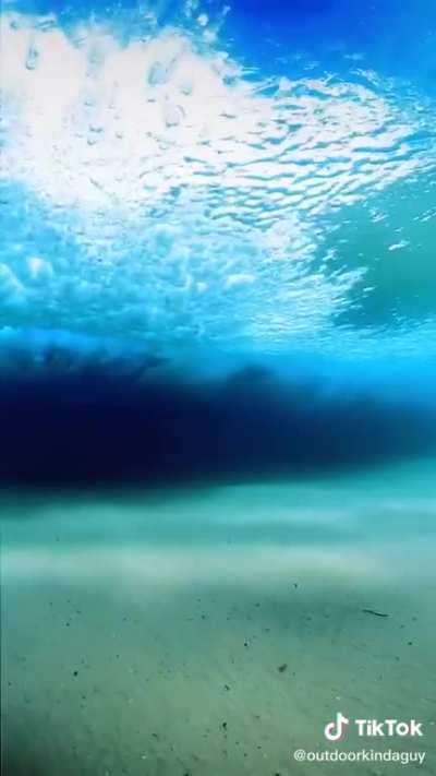 The way the water darkens.