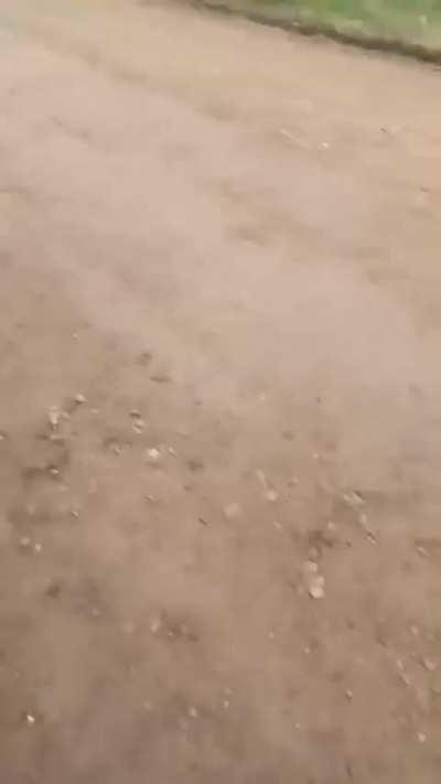 La forma de lidiar con los vendedores de medias en la calle se va poniendo mas y mas complejo