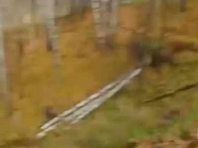 HMFT after trying to roll down the hill