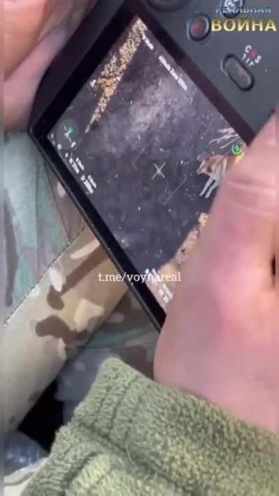 For those talking about suspiciously fed dog