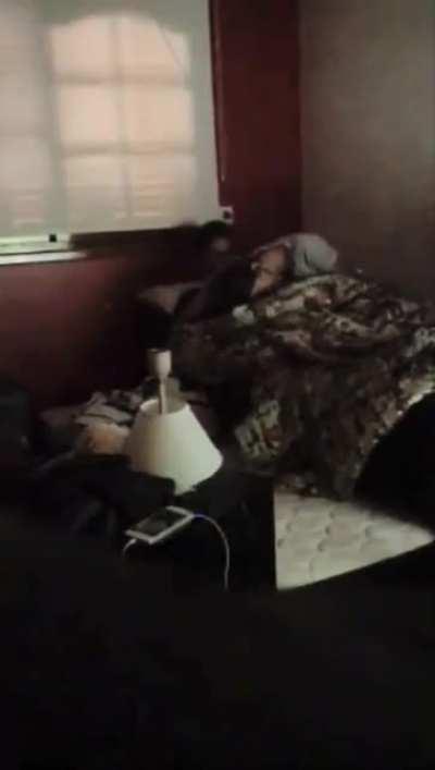 sofi fernandez stremer