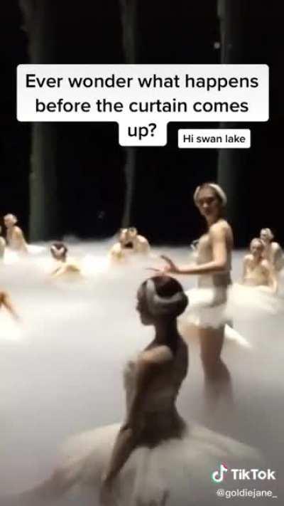 Behind the scene of a Swan Lake production