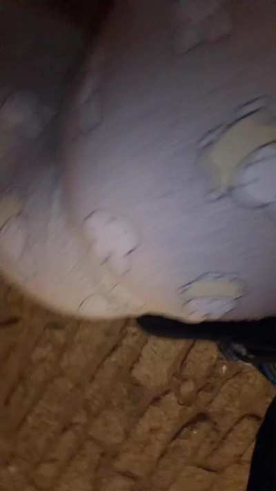 Be a good boy for me!