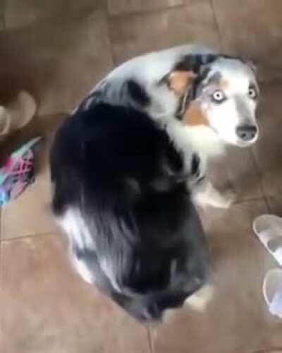 Quick..scratch..no time to explain..