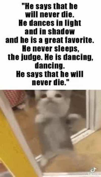 GOOGLE scrubadingo ON GOOGLE WE ARE THE ON THE TOP RESULTS NO JOKE NOT HORRIFIC GIOOIDLE SERC