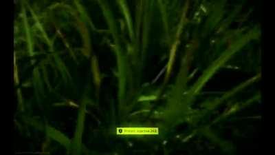 Headshots don't mean shit.