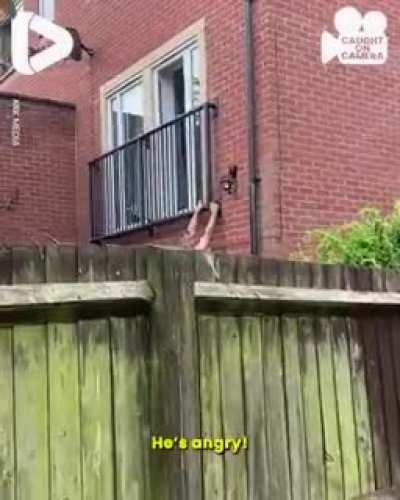 he kinda sounds like pyro