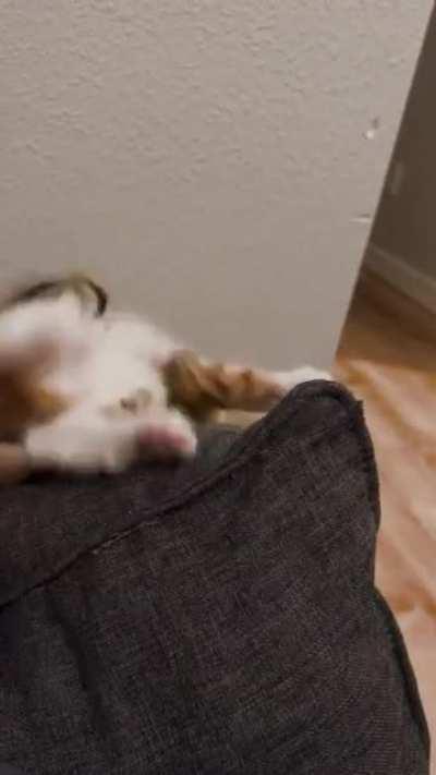 Anastasia is illegally clumsy!