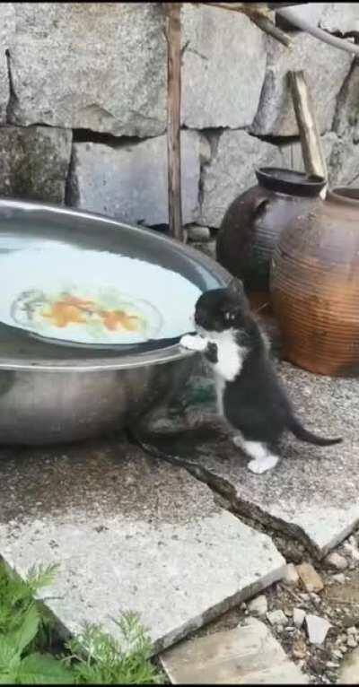 Illegally smol drink