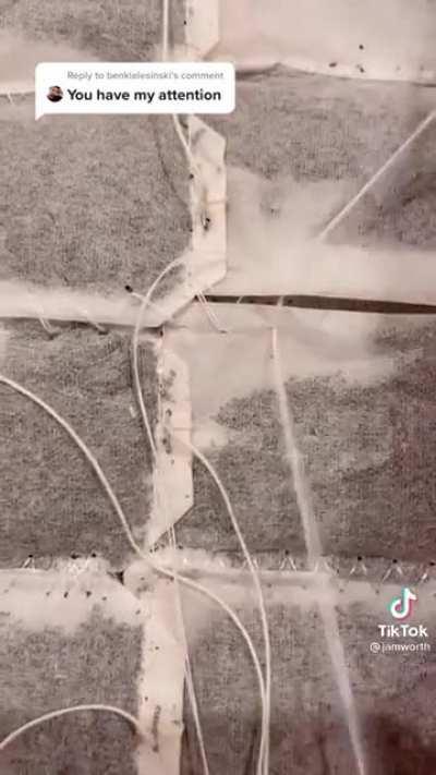 The whole thing is a fucking pun