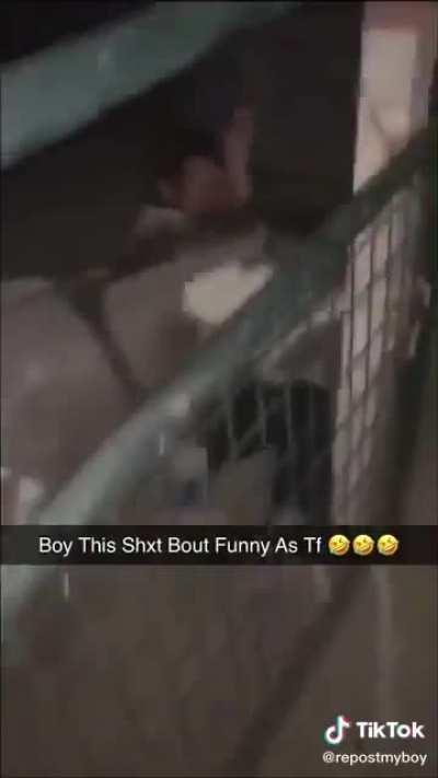 Nigga got fucked up by a donkey smh 🤦🏾‍♂️