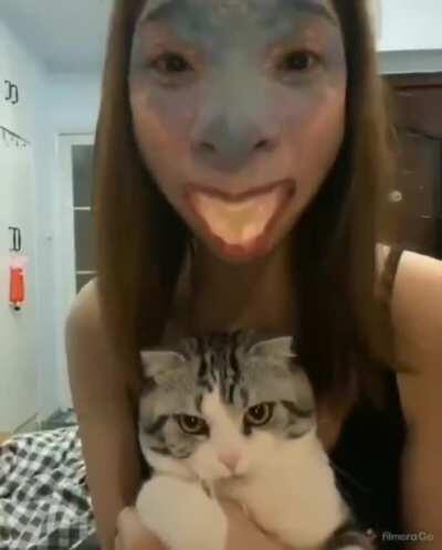 Just your regular hooman