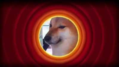 Mods removed the meme for rule 7, Here you go