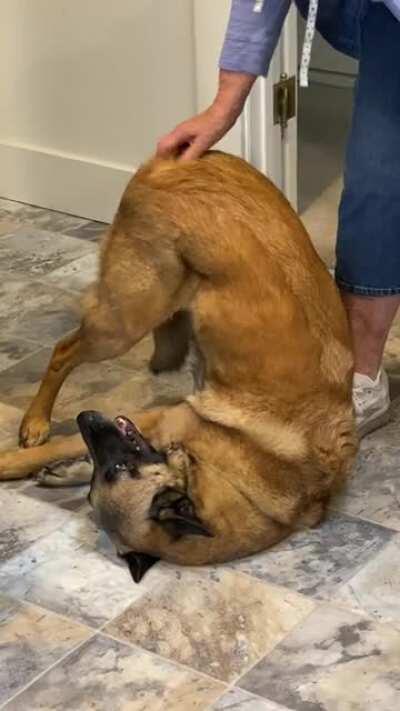 She really loves a butt scratch.