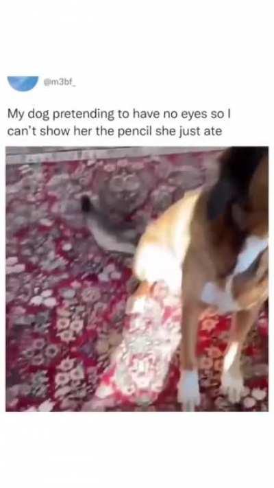 I see nothing hooman