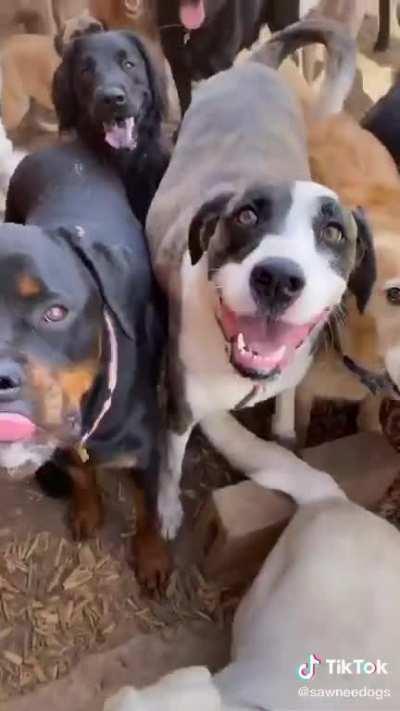 Is this what part of heaven looks like?