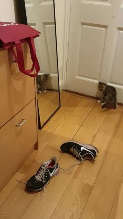 Jazz and the mirror again .... part 1