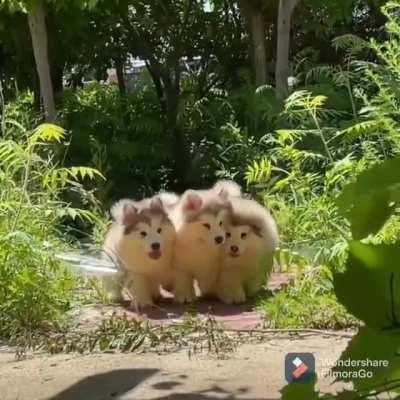 Improvise. Adapt. Overcome.