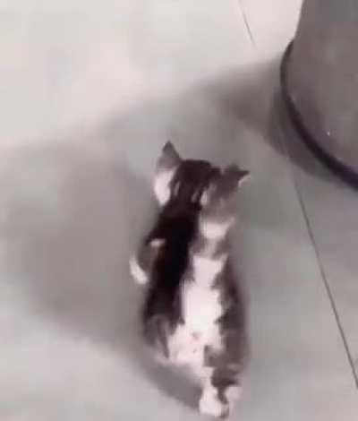 If you need a smile, try this.