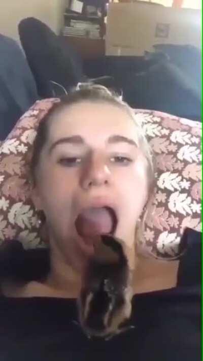 What could go wrong?