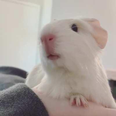 She’s 18 days old and wants you to know it!!!