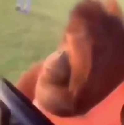 Ask me how I’m feelin after i just got all these gogobeans bro