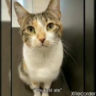 But....but you just ate.