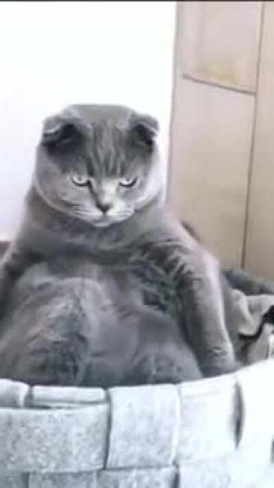 it looks like his head falls off.