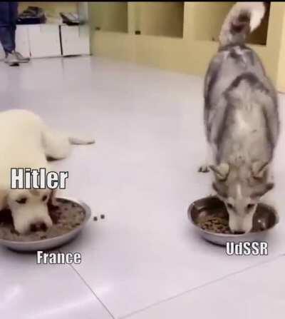 A template with potential.