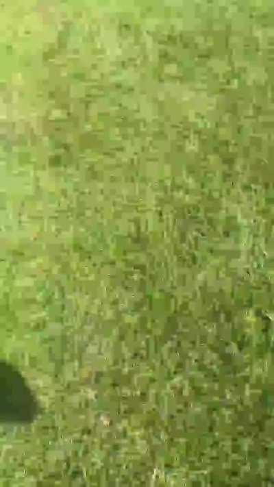 Went in a little too hot